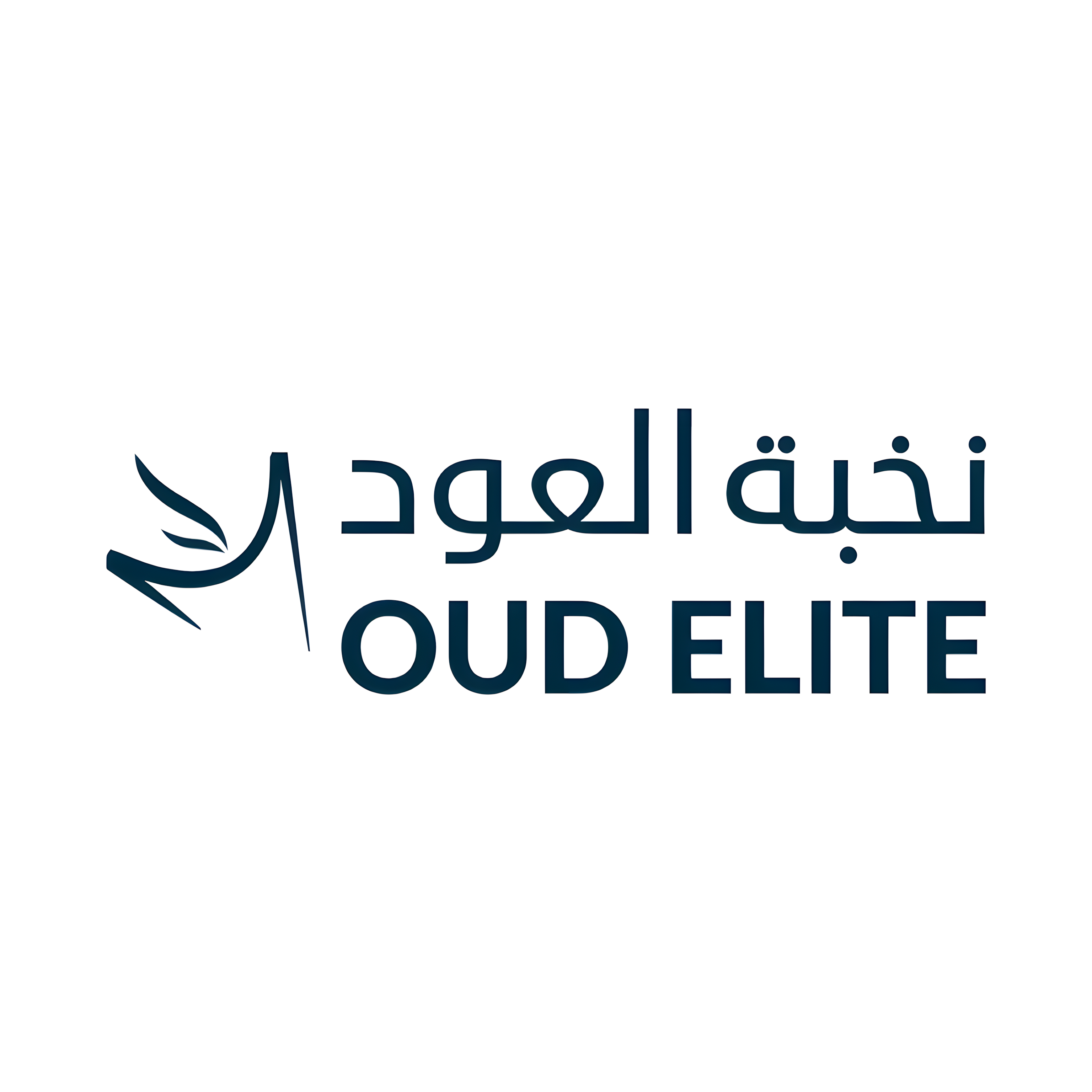Oud Elite – Elevator Installation Project